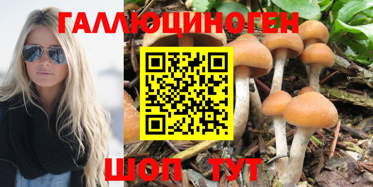 Галлюциногенные грибы ЛСД Кыштым